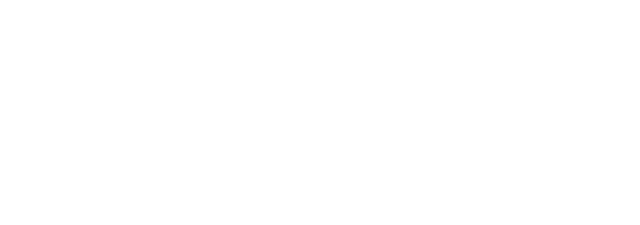 Orange Partner Program Logo